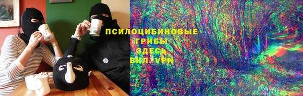 прущие крисы Белая Холуница