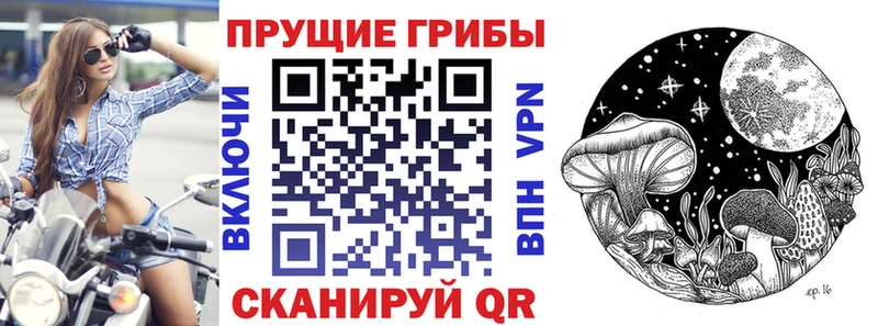 mega зеркало Верхнеуральск Псилоцибиновые грибы ЛСД